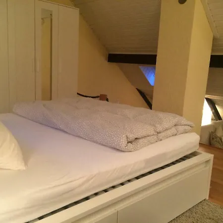 Séjour chez l'habitant Cozy Attica - With Every Comfort - Berne